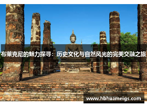 布莱克尼的魅力探寻：历史文化与自然风光的完美交融之旅