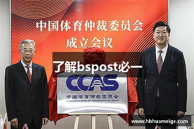 了解bspost必一